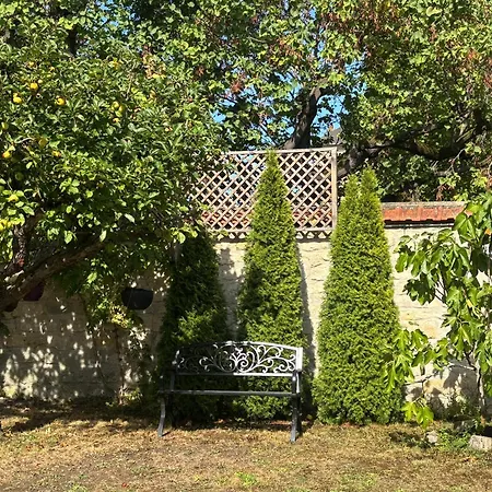 Elegance Et Tranquillite *